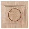 UT-00000281