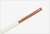 UT-00025062