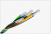 UT-00028989